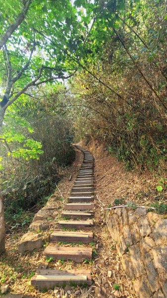 二延平步道封面