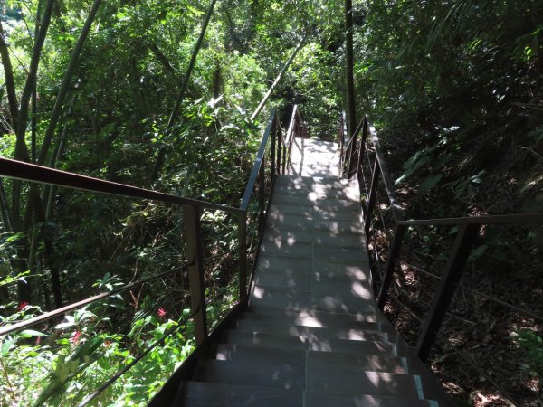 彰化桃源里森林步道+龍鳳谷森林步道2696111