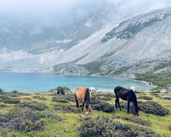 西藏♥️可愛動物🐎人物寫真/拉薩旅拍/美食2902955