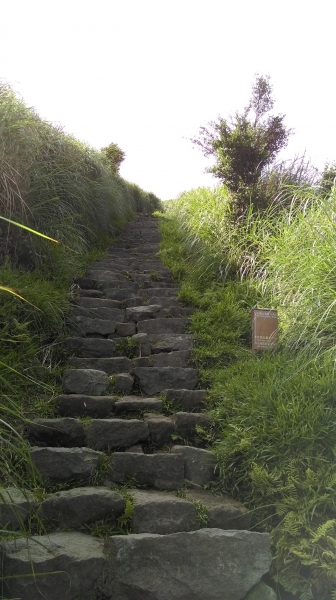 小油坑-七星山主峰-東峰 105.7.652062