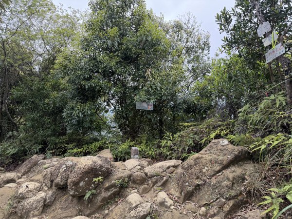 [微笑山線_第四段] 2026_0321 天上山系_石門內尖山3022051