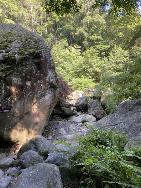 【加里山】一日來回，享受山林。1207871