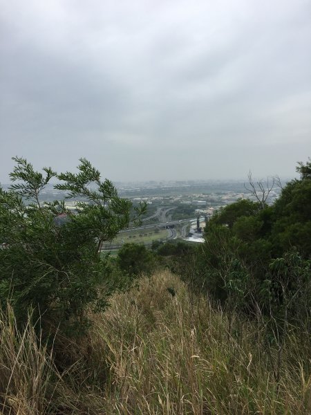 20180407_知高圳步道849267