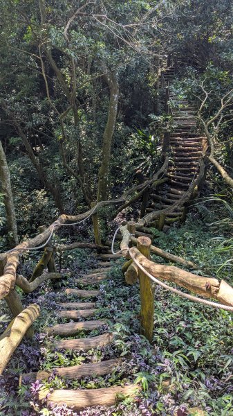 【台灣健行】台中大坑 5-1、5 頭嵙山2874071