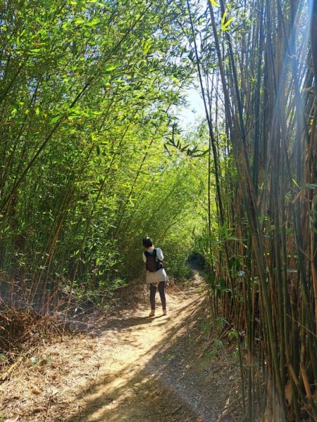龜山福源山-牛灶坑山-鶯歌火車站走春遊2701312