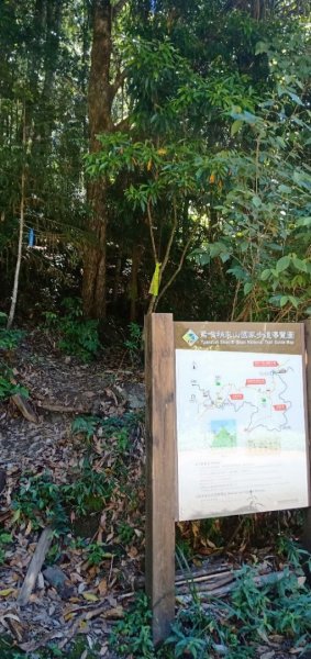 20230715_鳶嘴稍來步道2225150