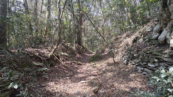 網子山、鳴海山3046440