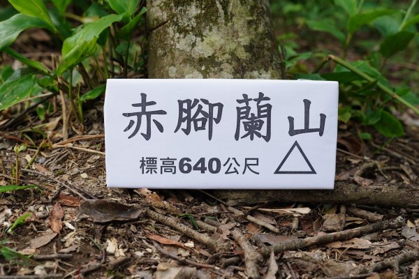 新北 新店 石碇後山、赤腳蘭山、暗寶劍山、鳥嘴尖2793497