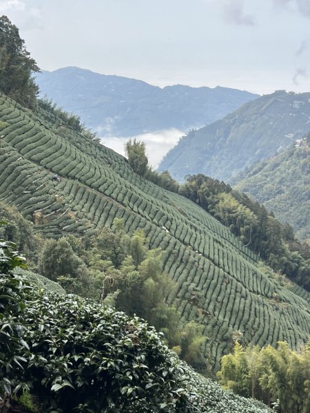 小百岳-金柑樹山2717263