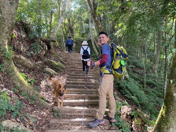 馬那邦山.細道邦山【你 不能預判山的變幻莫測】2401486