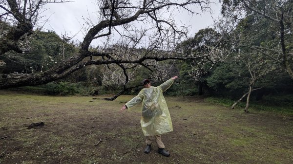 114.12.27尖山-40砲陣地之旅2971752