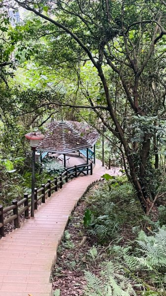 鶯歌石步道2865019