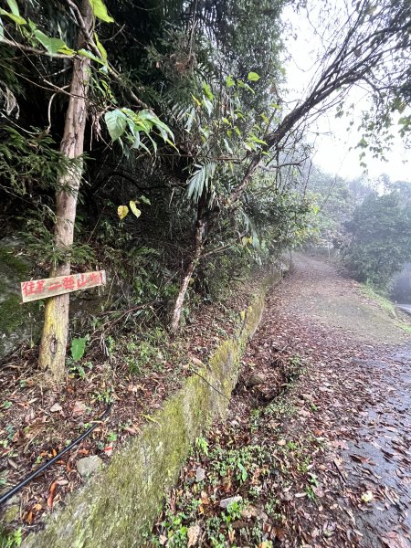 【鵝鳥雙拼】 鵝公髻接鳥嘴山2382727