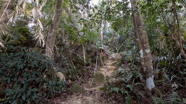 大橫屏山步道2977355