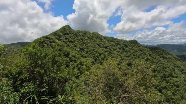 柑腳城山、外柑腳山O走
