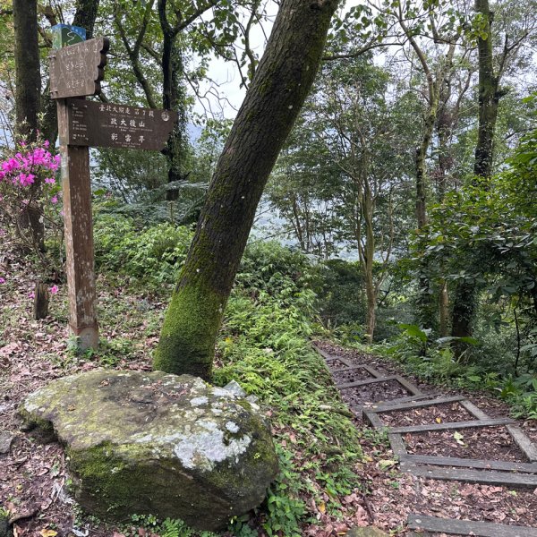 250307台北大縱走第七段2729363