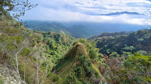 石苓湖山（頭嵙南峰）/黑山/黑山北峰/頭嵙山1585847