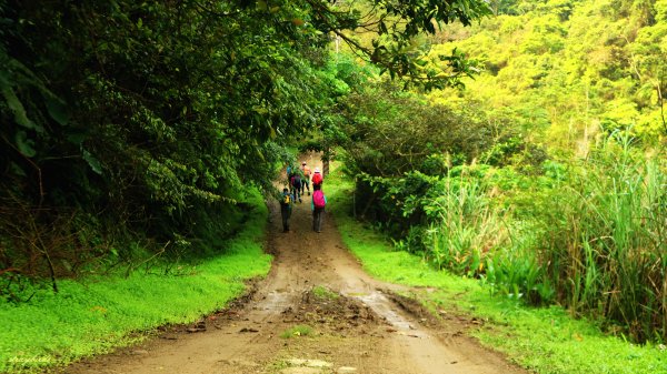 芳草碧連天~淡蘭中路中坑崩山坑古道O型913724