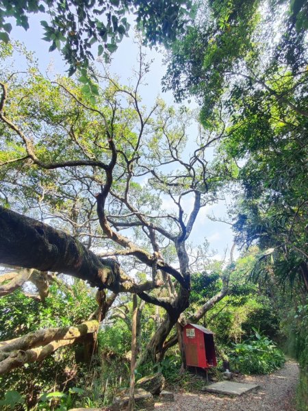 後花園散散步2855168