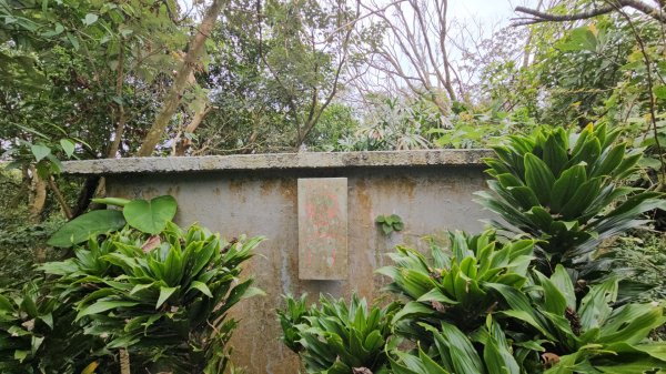 圓通寺烘爐地登山步道大O走3007008