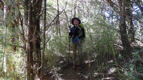 大好天氣的奇萊東稜489041