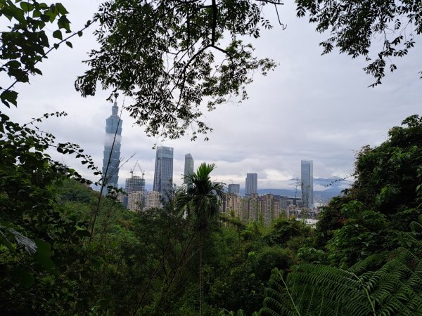 台北象山親山步道3108118