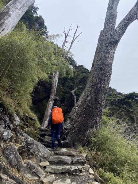 20230515-16玉山前西峰+遠望雨中的主東北2436684