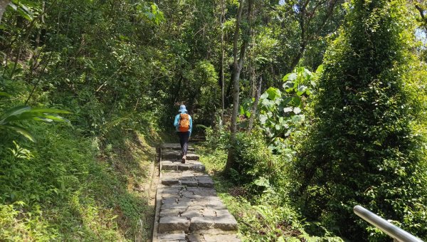 (姨婆趴趴走)第五十三集:台北內湖三山（白鷺鷥山、康樂山、明舉山）連走2774611