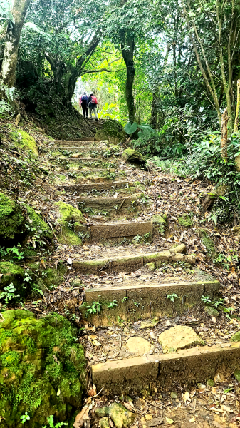 2025-0104 造鎮_五城山_天上山_三粒半_火焰山_慈惠堂_土城大潤發2682129