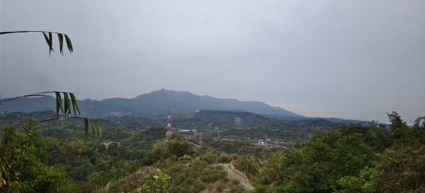 2026/02/27-荷苞山登山步道3010043
