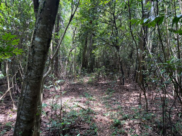 三段崎古道2835539