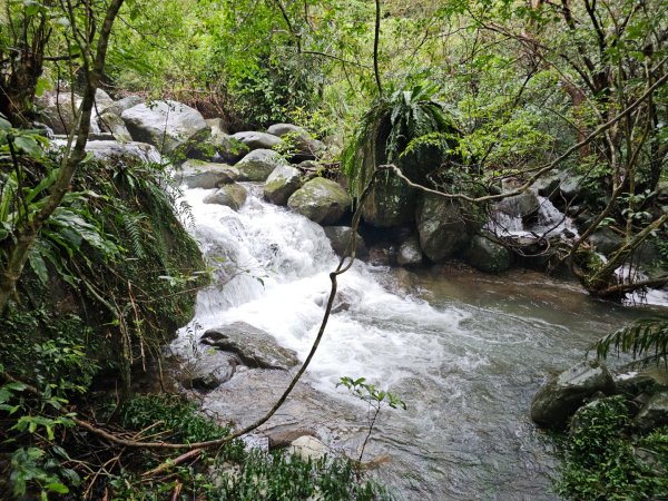 草嶺古道 - 2024草嶺古道芒花季2650867