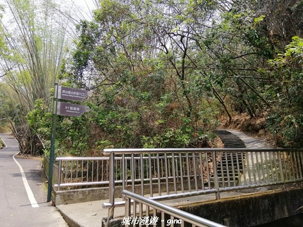 【南投。草屯】蜿蜒步道很親民。 中興新村虎山步道1383070