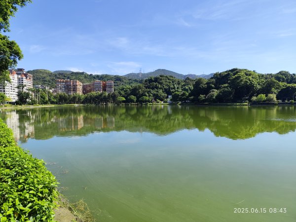 內湖碧湖公園步道、郭子儀紀念堂、獅頭山、大港墘公園、宏匯瑞光廣場2813419