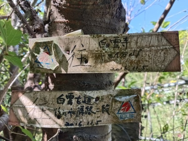 汐止區白雲古道+白雲寺O型2911981