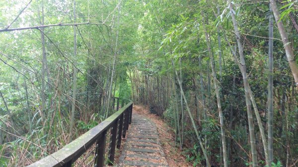 雲嘉九連峰1438996