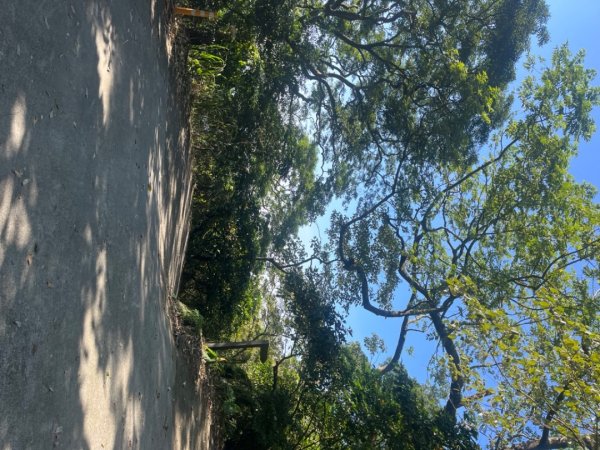 雲嘉五連峰2735888