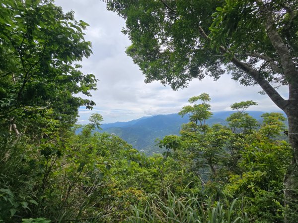 夏日的馬那邦山2796599