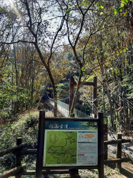 《嘉義》靜謐森林｜迷糊步道+福山古道202101231245445