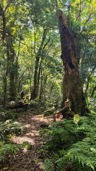 大混李棟山2816360