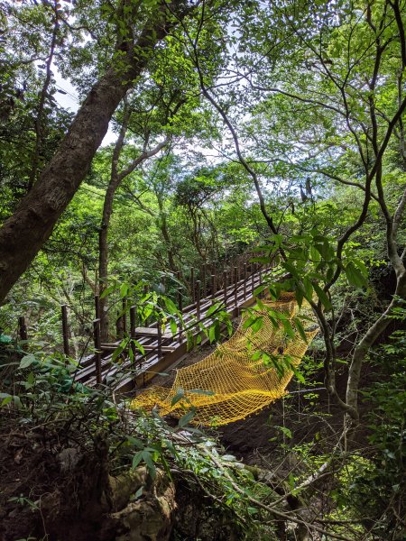 【屏東-小百岳】三大郊山 里龍山O走1025779