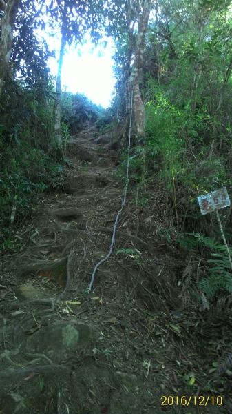 20161210新竹高台山,小中大島田山79304