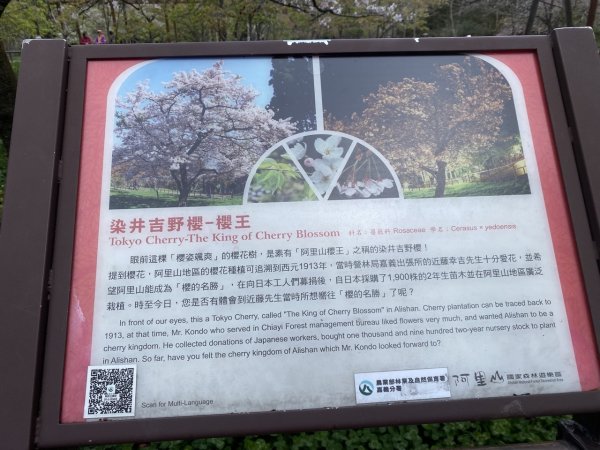 大塔山3062638