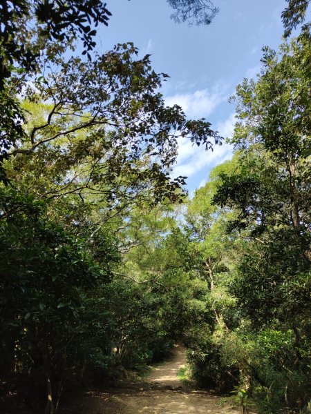 2024.01.02 飛鳳山2832157