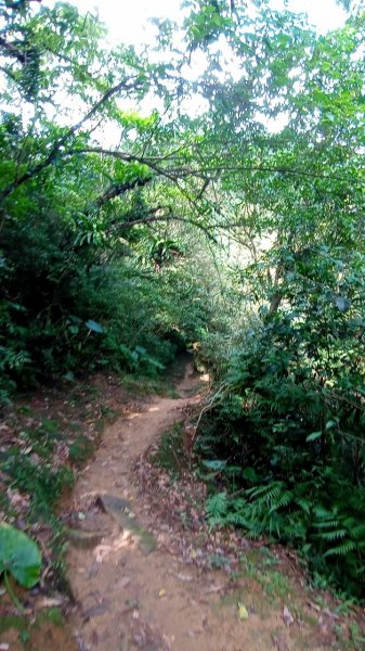 三貂嶺瀑布群峰1934314