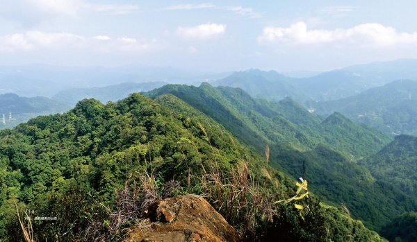 【書摘】向山，遇見最美的山徑－石碇筆架山