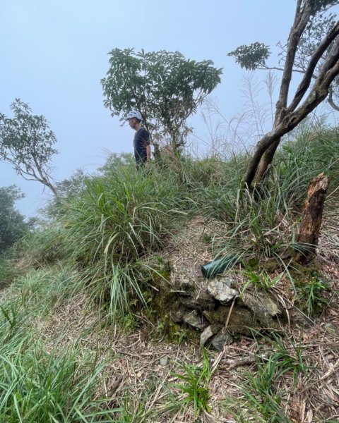 烏來插天山隘勇線-插天山監督所-林望眼山-北插東峰-林望眼山西峰2591861