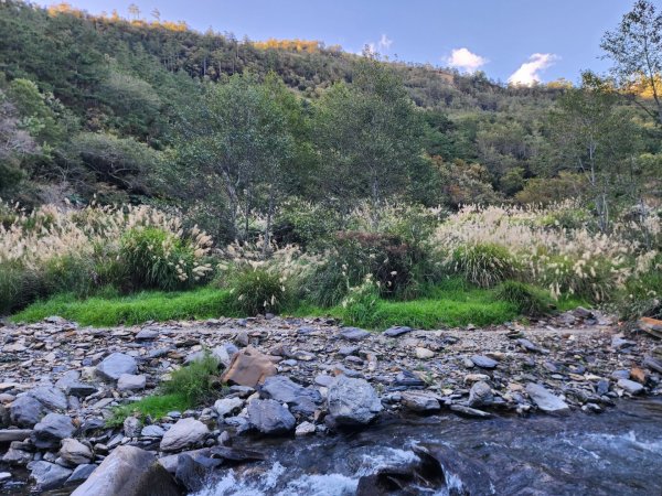 【中級山縱走】羅馬縱走，走進神木的夢幻童話森林世界2943268