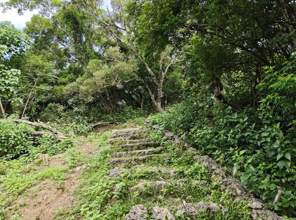 [百山百鳥尋旅-02/15] 2025_0809 社頂自然公園步道2857027