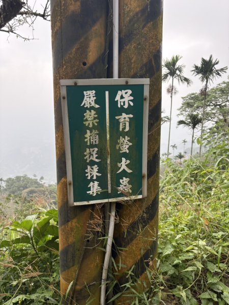 20251019伍龍步道-梅峰-竹子尖山-福光山2924102